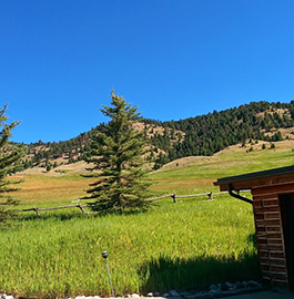 Howlers Inn Bed & Breakfast and Wolf Sanctuary